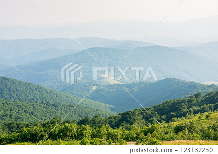 beautiful view of mountain landscape in summer. sunny day. green hill rolling in to the distance in evening light. alpine scenery with valley 123132230