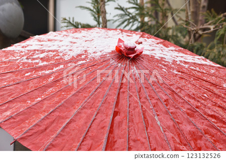 A janome umbrella for a snowy day A janome umbrella for a snowy day 123132526