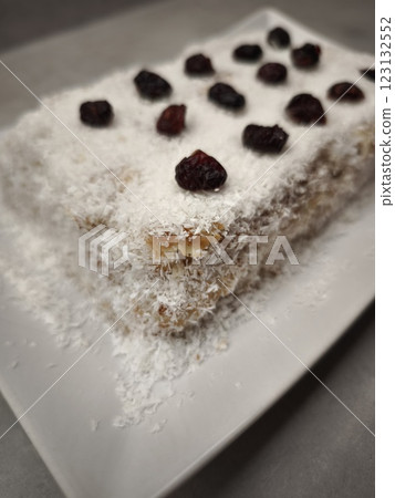 Delicious christmas coconut pudding with dried cranberries on white plate party food for aperitif, New Year's Eve dinner, Christmas or birthday Delicious christmas coconut pudding with dried cranberries on white plate party food for aperitif, New Year's Eve dinner, Christmas or birthday 123132552