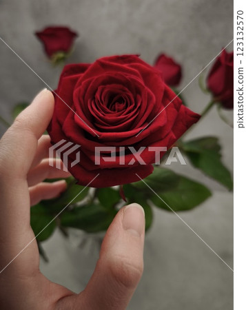 Hand holding a red rose in prague, czechia Valentines day holidays 123132570