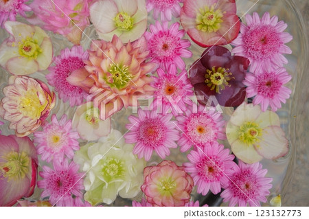 Hanatemizu 123132773