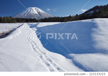 Mount Daisen towering over the snowy plains (Hoki Town, Saihaku District) Mount Daisen towering over the snowy plains (Hoki Town, Saihaku District) 123133225