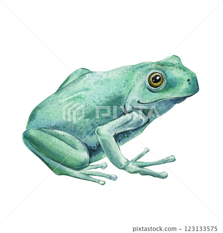 Blue-green tree frog watercolor illustration isolated on white background exotic rainforest amphibian art. Exotic frog 123133575