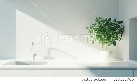Modern White Kitchen Sink With Ornamental Plant 123133760