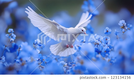 Ethereal white dove soaring among blue flowers 123134156