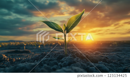 sustainability aviation 123134425