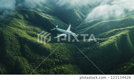 sustainability aviation 123134426