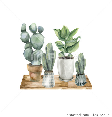 Home green plants in pots standing on wooden table watercolor arrangement. Hand drawn interior greenery clipart, urban jungle cactus and palm painting for poster, label, packing design 123135396