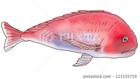 Sea bream Sea bream 123135719
