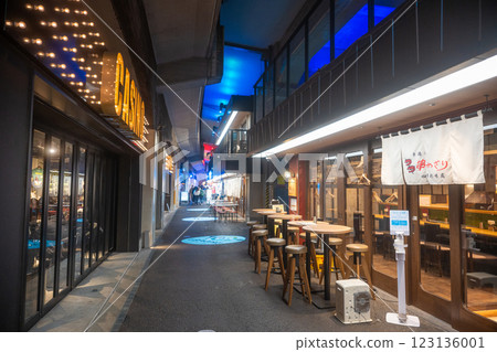 Shinbashi-Yurakucho under the guard (Ginza back corridor street) Shinbashi-Yurakucho under the guard (Ginza back corridor street) 123136001