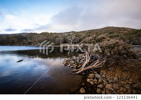 Lake Fenton in Mt Field National Park Tasmania Australia 123136441