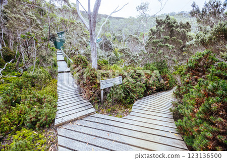 Lake Dobson in Mt Field National Park Tasmania Australia Lake Dobson in Mt Field National Park Tasmania Australia 123136500