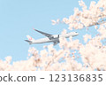 Plane flying over cherry blossoms - Spring and travel moments 123136835