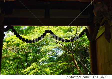 本德寺(千葉縣松戶市) 本德寺(千葉縣松戶市) 123136950