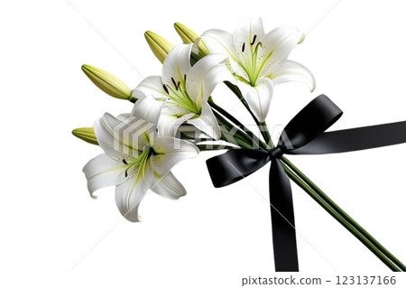PNG Illustration lilies ribbon black.  123137166