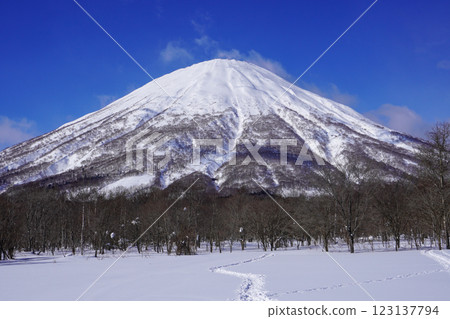 Mount Yotei as seen from Shinyo Parking Lot, Makkari Village (February 2025) 123137794