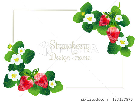 Spring-like strawberry illustration frame material. Spring-like strawberry illustration frame material. 123137876