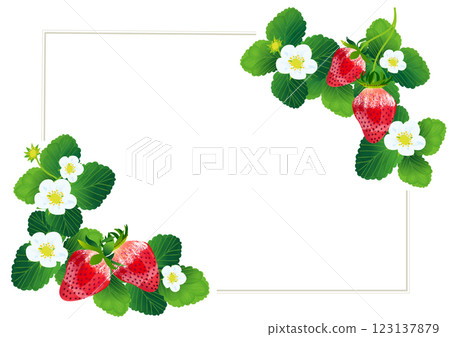 Spring-like strawberry illustration frame material. 123137879