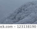 Snowy Kusumi Makinoto Pass 123138190