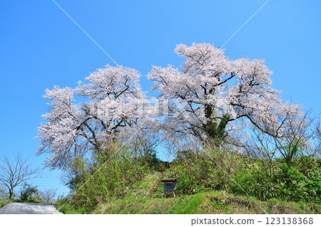 Kuroiwa的情侶（新潟） 123138368