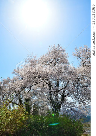 Kuroiwa的情侶(新潟) Kuroiwa的情侶(新潟) 123138369