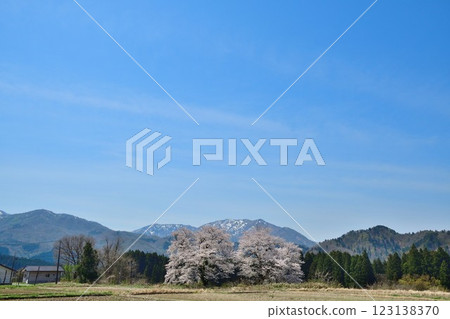 Kuroiwa的情侶(新潟) Kuroiwa的情侶(新潟) 123138370