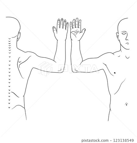 upper side human front and back anatomy drawing outline. 123138549