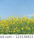 強姦花田和藍天 123138813