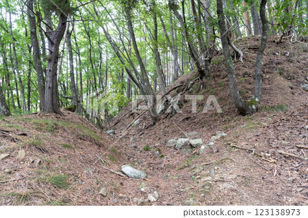 Kirihara Castle: Double moat on the main road Kirihara Castle: Double moat on the main road 123138973