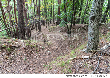 Kirihara Castle: Double moat on the main road 123138974