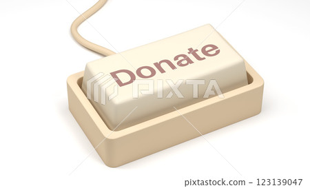 A close-up of a keyboard with a "Donate" button replacing one of the keys. The button stands out, symbolizing online donations, crowdfunding, and charitable giving. A close-up of a keyboard with a "Donate" button replacing one of the keys. The button stands out, symbolizing online donations, crowdfunding, and charitable giving. 123139047
