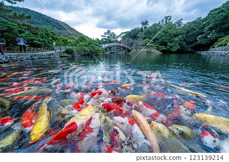 [高松市]栗林花園的錦衣 123139214