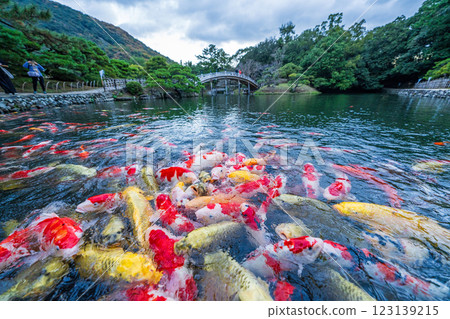 [高松市]栗林花園的錦衣 123139215