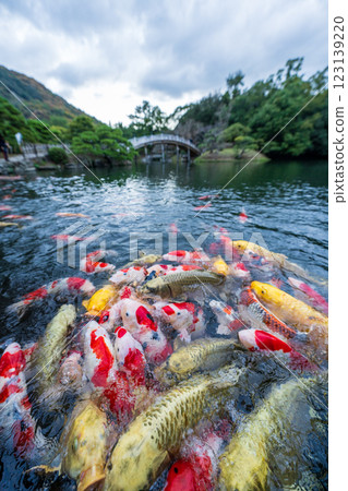 [高松市]栗林花園的錦衣 123139220
