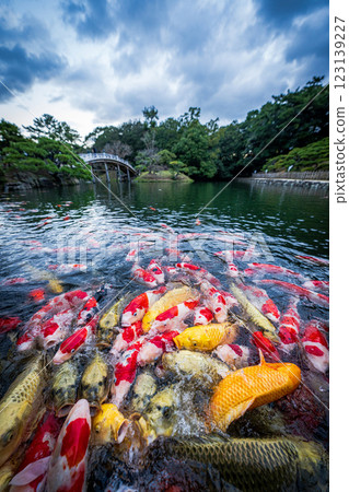 [高松市]栗林花園的錦衣 123139227