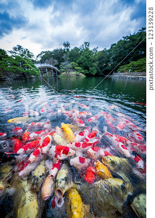 [高松市]栗林花園的錦衣 123139228