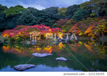 [Takamatsu City] Ritsurin Park Autumn Illumination [Autumn Leaves] 123139295