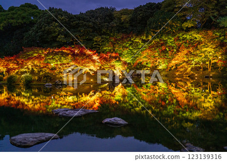 [高松市]栗林公園秋季燈飾[紅葉] 123139316