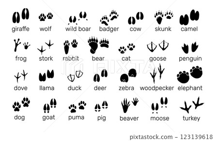 Animals footprints. Wildlife and birds tracks. Different paw prints. Black silhouette imprint icons. Bear and rabbit steps. Fauna trails with inscriptions. Vector zoo footsteps set 123139618