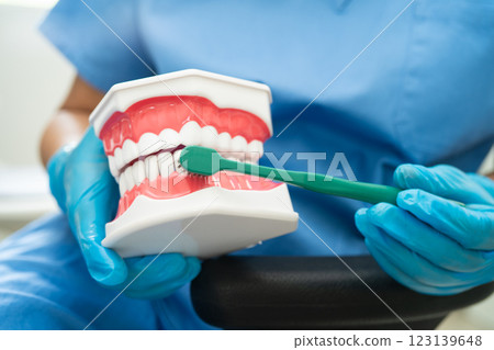 Asian dentist cleaning teeth of dental model with tooth brush for patient and studying about dentistry. 123139648