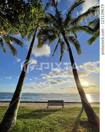 Palm trees and benches Palm trees and benches 123139679