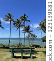 俯瞰大海的長椅 123139681