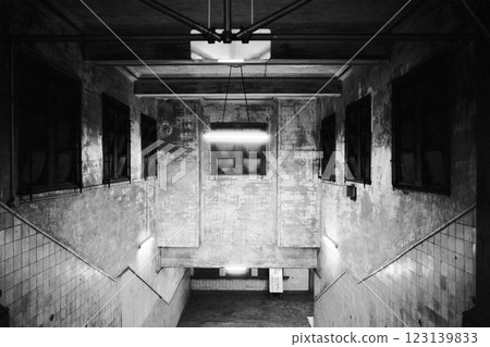 Museum Zoo Station - Inside the abandoned station - Black and white film image Museum Zoo Station - Inside the abandoned station - Black and white film image 123139833