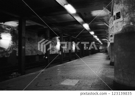 Museum Zoo Station - Inside the abandoned station - Black and white film image Museum Zoo Station - Inside the abandoned station - Black and white film image 123139835