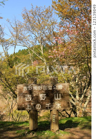 Mount Yoshino, a famous cherry blossom spot Mount Yoshino, a famous cherry blossom spot 123139849