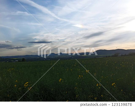 Open space in the city. Well-groomed fields with power lines 123139878
