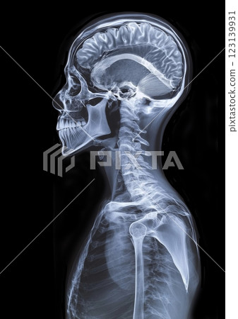 Medical Imaging of the Human Body 123139931