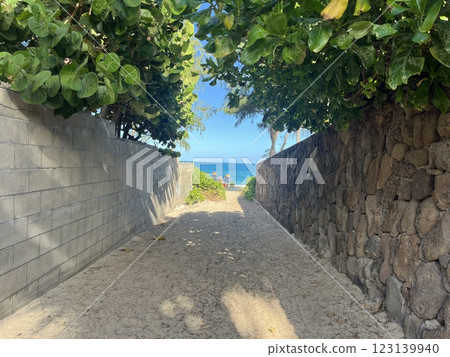 Road to the sea Road to the sea 123139940