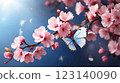 Blue butterfly resting on pink cherry blossoms with soft background. 123140090