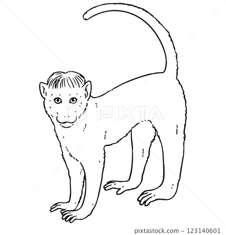 一幅 tokumonkey 的線條畫 一幅 tokumonkey 的線條畫 123140601